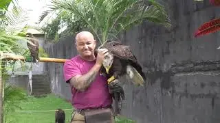 Z'animo Peï à la découverte des rapaces avec l'A.R.E.F