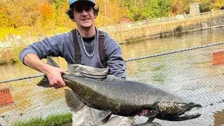 FISH ARE ON THE MOVE!! Oak orchard Salmon fishing Dam report #13
