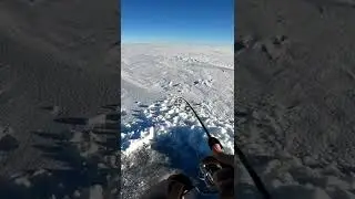 HT Laker rod Jaw Jacker pike review.