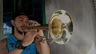 Goodness Of God - Cece Winans (Trumpet) Cover 🎺