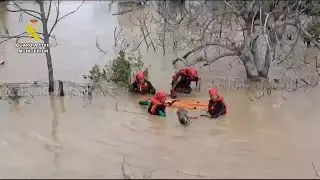 Rescue workers save dogs in flooded areas of southern Spain | AFP