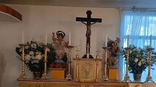 Misa de San Marcelo I Papa y M&aacute;rtir