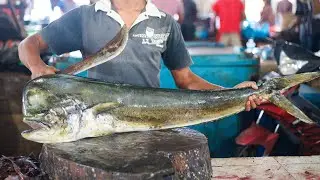 Big Monster 40KG Rare Dolphin (Mahi-mahi) Fish Cutting Skills