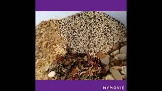 Just 2 Old Crabs Hermit Crab Food