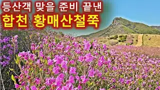 2025년 5월4일 합천 황매산철쭉등산및 개화상황/ 한산한 떡갈재코스로 가보세요/100대명산/블랙야크
