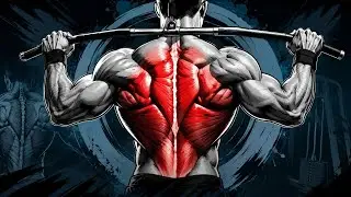 back workout at home with dumbbells