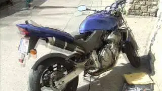 Honda Hornet 600 Stock vs. Danmoto GP Carbon exhaust