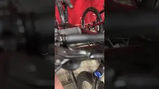 Dicks Sporting Goods finally has good bikes!!!!!