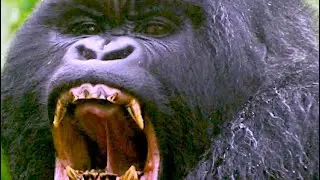 OMG STEVEN HAWKING BLEW UP MY HOUSE(Graphic)RIP Steven hawking(NOT)and throwing hot soup on monkey!!