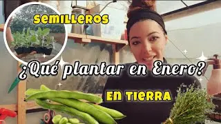 &iquest;Qu&eacute; PLANTAR SEMBRAR en ENERO? 🌱 SEMILLEROS, Cultivos en Tierra y CONSEJOS Clave