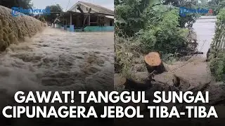 🔴TANGGUL CIPUNAGARA JEBOL! Banjir Meluas Terjang Pamanukan Subang, Warga Panik Evakuasi