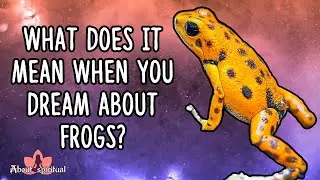Что означает сон о лягушках?