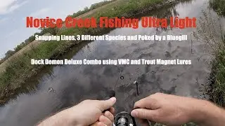Creek Fishing on Ultra Light Gear (Novice)