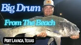 His First Big Ugly - Black Drum From The Beach - Port Lavaca, Texas