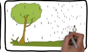 Lighting safety for storm and rainy day in Bangla