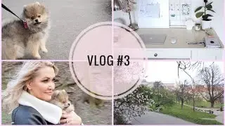 VLOG │první výlet se štěnětem, velké jarní nákupy, nová pracovna a plastická chirurgie?! (2019)