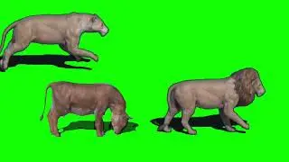 Convoy Stampede Green Screen