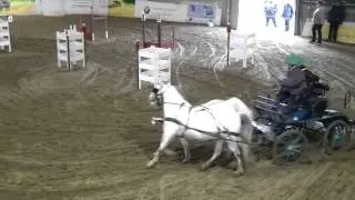 Chris Orchard Indoor Driving