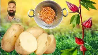 RURAL KITCHEN RECIPE | KUDRUM POTATO GAOKA SOWAD DESI KUDRUM ALOO KI SABZI