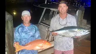 Mini Season Week - Part 2 -  Rare YELLOW Eyed SNAPPER - Catch | Clean | Cook - Florida Keys