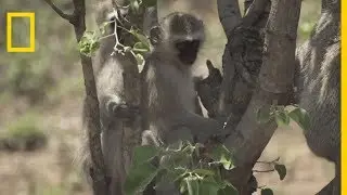 Le plan économique des réserves naturelles