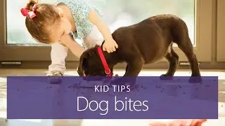 How to prevent dog bites