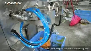 sachet palm oil packaging machine,tomato paste filling and sealing packing machine
