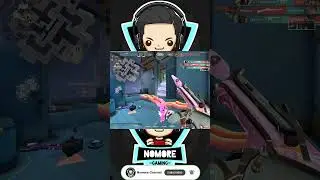 Tidak Akan Ku biarkan Masuk  #streaminggame #valorant #game #valorantclips #tranding #gameindo