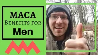 Maca Root Benefits for Men [2019] 😃