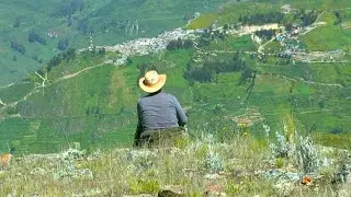 Arreando vacas en Laramarca - Trashumancia de ganado