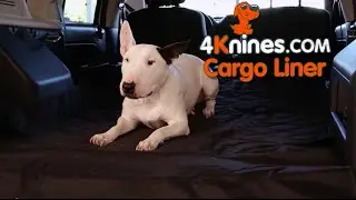 SUV And Truck Dog Cargo Liner