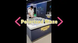 Polarized Maze | Explore Magnetic Navigation via Virtual-Real Challenge & Coordination Training
