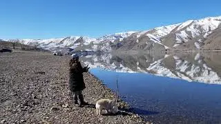 Topaz Lake Trout Fishing FishOnBuddy!