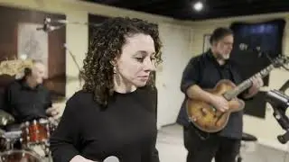 The Stingers cover 