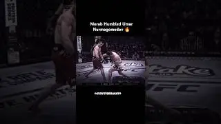 Merab Dvalishvili vs Umar Nurmagomedov UFC 311 #merabdvalishvili #umarnurmagomedov