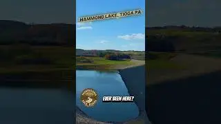 🌊 Hammond Lake &ndash; Tioga County, Pennsylvania