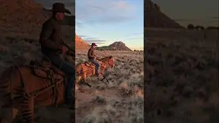 What's he riding? 👀 #horses #horse #cowboy #zebra #mustang #fyp