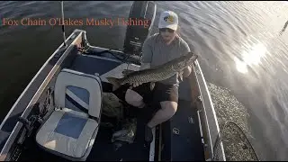 Fox Chain O'Lakes Musky Fishing Spring 2024
