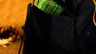 LaserTag2