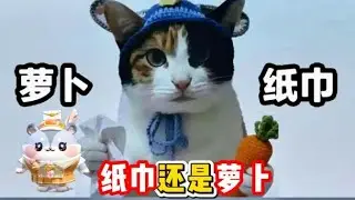 蛋仔派对：纸巾还是萝卜？你能全部答对吗？【鱼丸游戏酱】