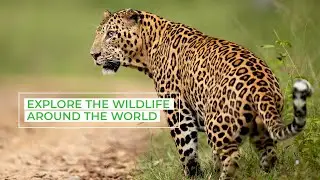 Must Visit Wildlife Sanctuaries in World | Make Every Spend Count, with InterMiles