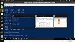 Windows Server 2019 amb disc reflectit