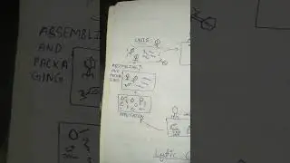 lytic cycle of virus and bectiriya