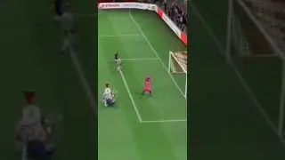 Paco Memooo