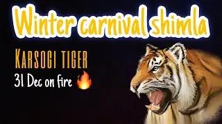 Winter carnival Shimla Dance performance on 31 Dec Karsogi Tigers  1.wicked sunny and Rajveer rathor
