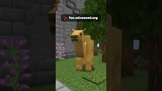 NO Griefing! #shorts #shorts #minecraftshorts