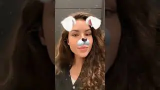 Snow White Dog Lens by Snapchat   Snapchat Lenses and Filters