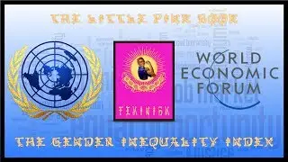 The Little Pink Book: The Gender Inequality Index