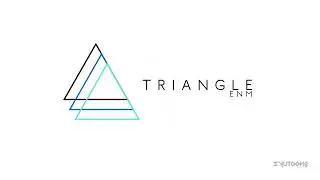 Triangle ENM Logo ID Concept