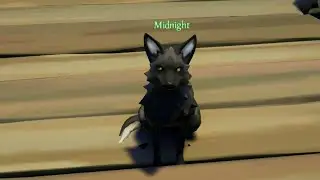 My new pet Fox!! (in Sea Of Thieves)
